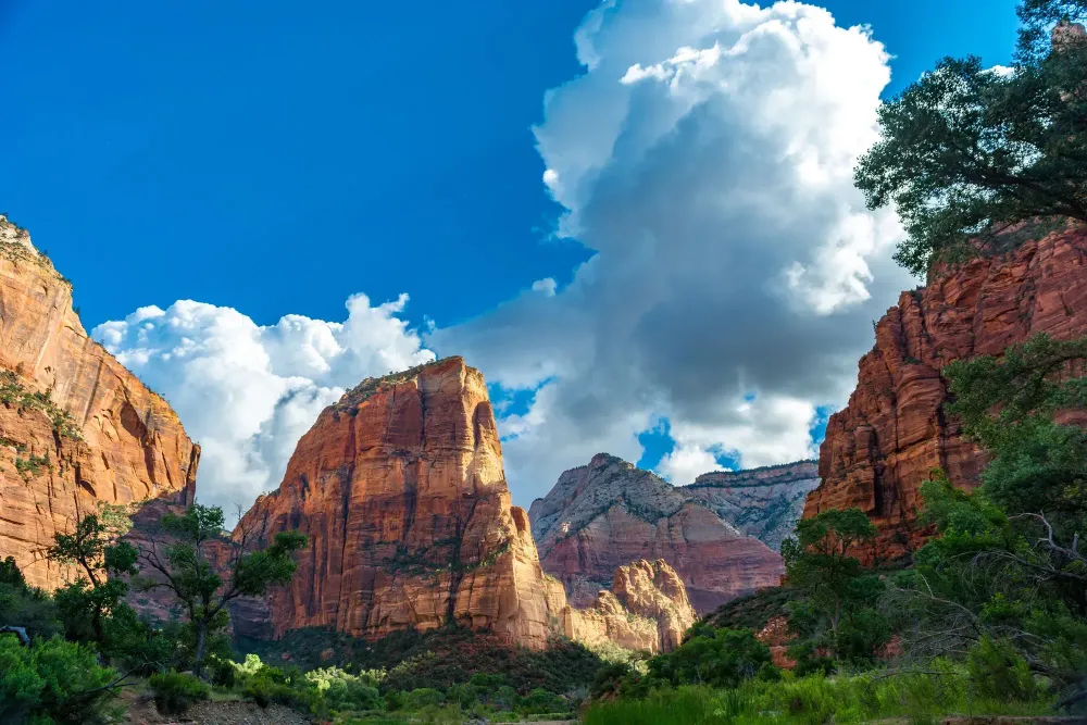 Zion National Park